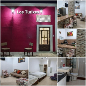 Casa TURIX CENTRO--SANTIAGO
